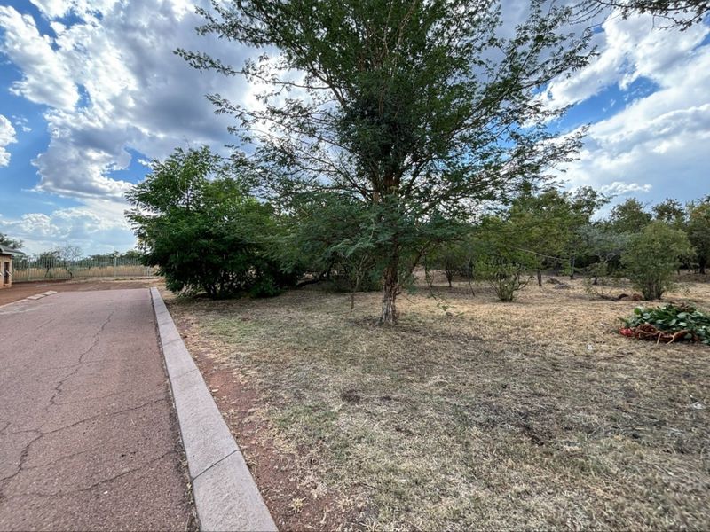 A view of a vacant residential plot featuring a paved driveway, concrete curbing, and established trees on the property.
