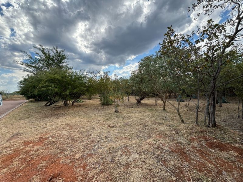 A view of a vacant residential plot featuring established trees and natural ground cover under a cloudy sky.