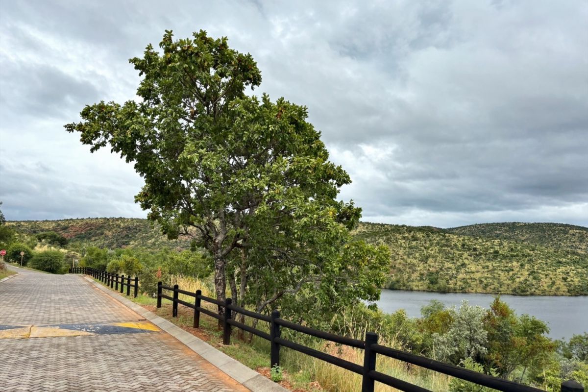 Vacant Land Residential For Sale In Bela Bela - Photo 5