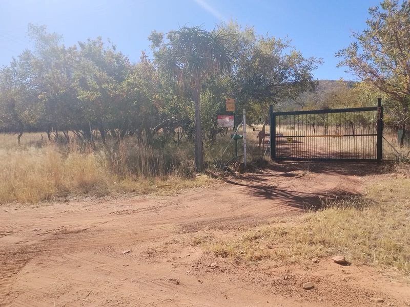 Smallholding For Sale In Bela Bela - Photo 8