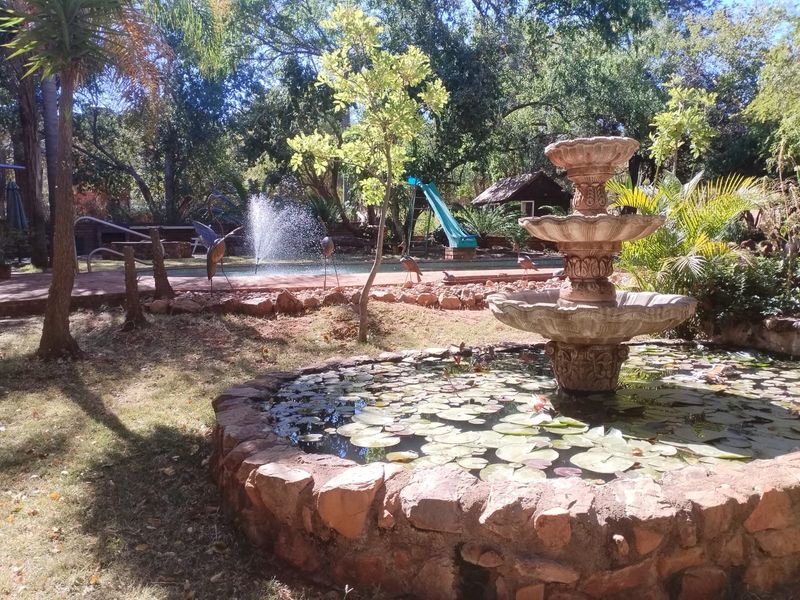 Smallholding For Sale In Bela Bela - Photo 5