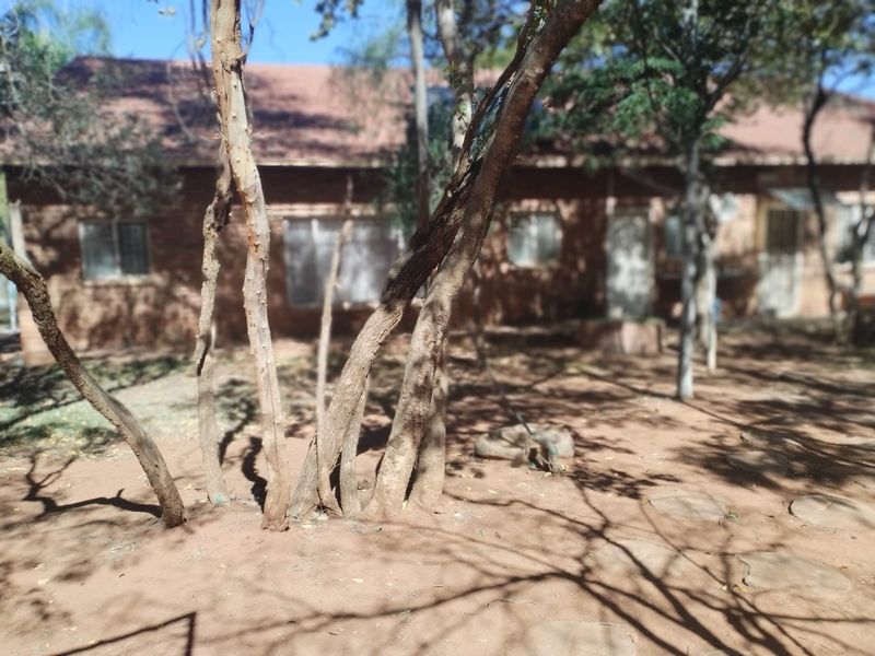 Smallholding For Sale In Bela Bela - Photo 3