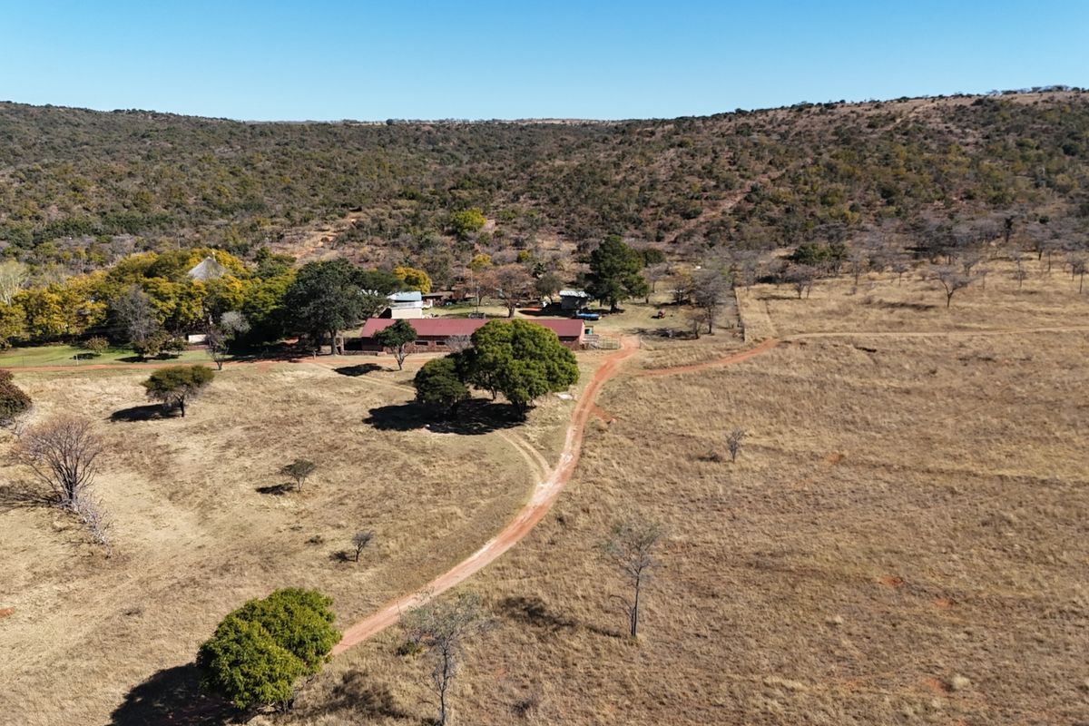 VAT Registered 701ha Valley Lodge / farm for sale. - Photo 5
