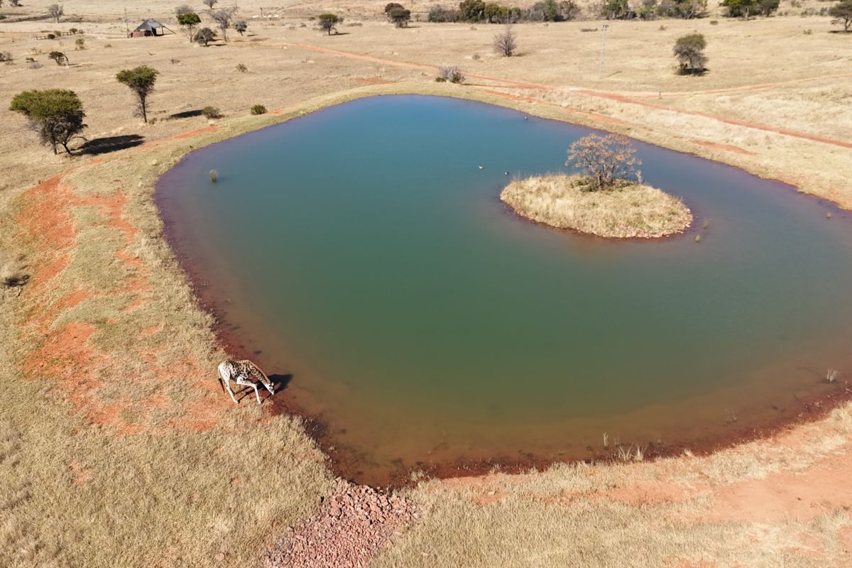 VAT Registered 701ha Valley Lodge / farm for sale. - Photo 3