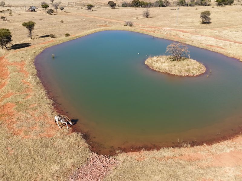 VAT Registered 701ha Valley Lodge / farm for sale. - Photo 3