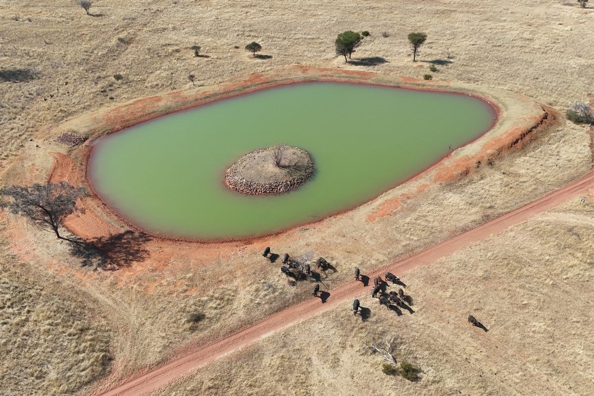 VAT Registered 701ha Valley Lodge / farm for sale. - Photo 2