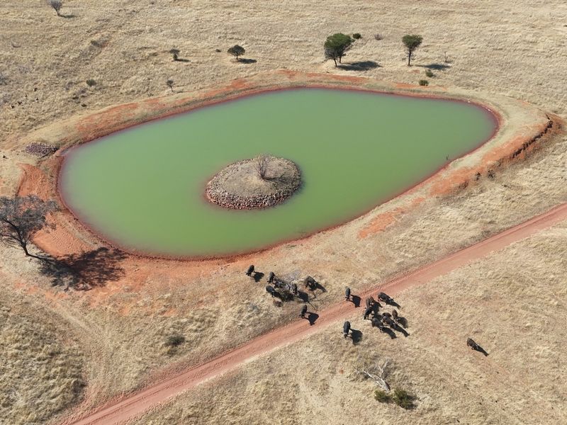 VAT Registered 701ha Valley Lodge / farm for sale. - Photo 2