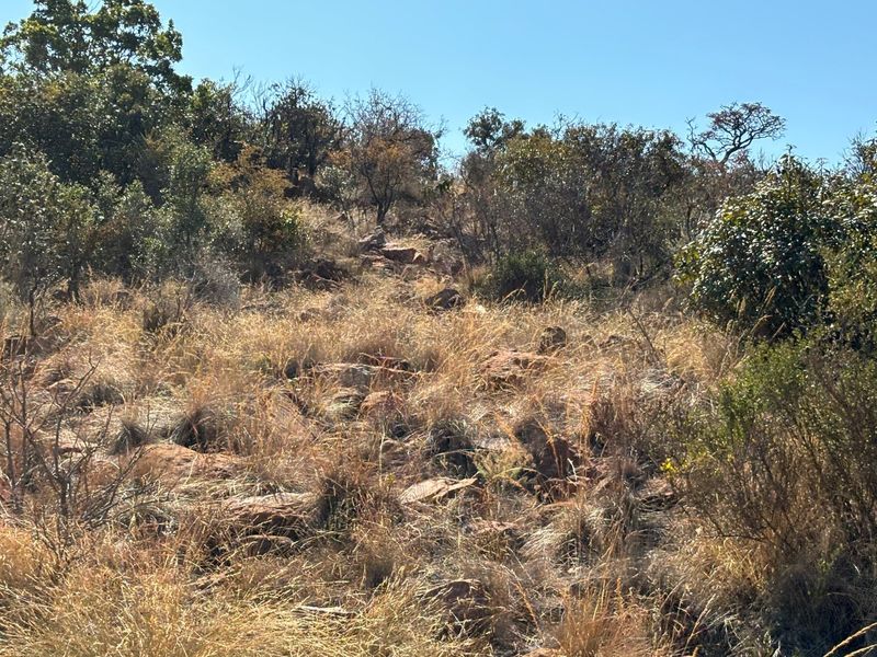 VAT Registered 701ha Valley Lodge / farm for sale. - Photo 10