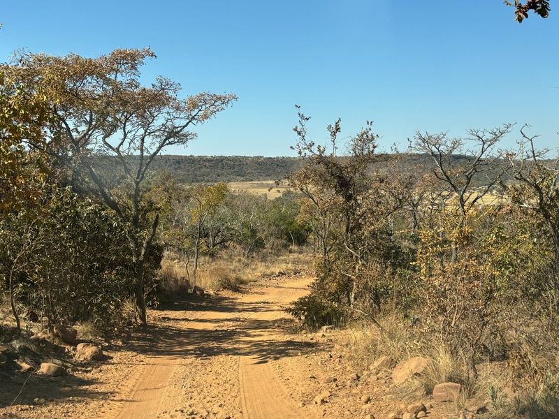 VAT Registered 701ha Valley Lodge / farm for sale. - Photo 9