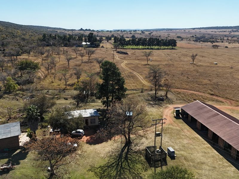 VAT Registered 701ha Valley Lodge / farm for sale. - Photo 6