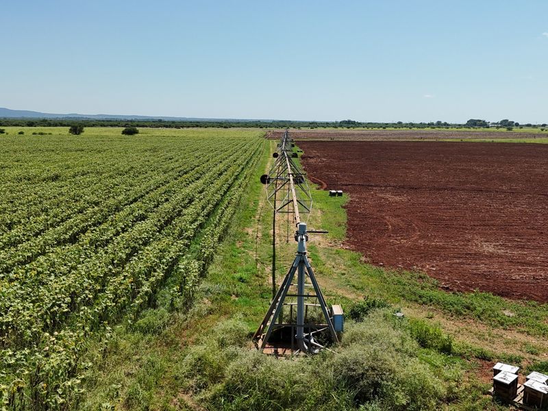 Farm For Sale In Bela Bela - Photo 4