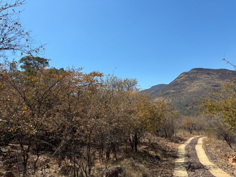 Farm For Sale In Bela Bela - Photo 7