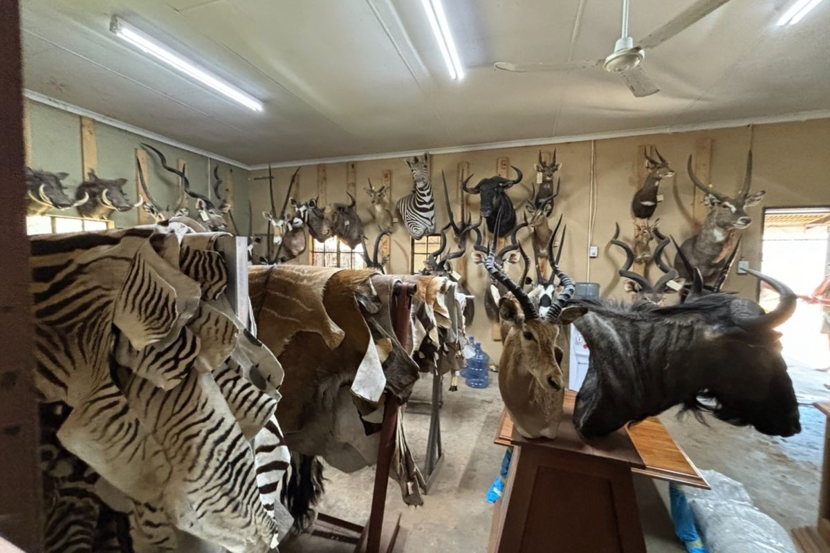 Farm For Sale In Bela Bela - Photo 2