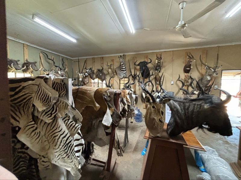 Farm For Sale In Bela Bela - Photo 2