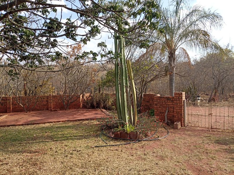 A spacious garden area featuring a brick boundary wall, metal gate, and established trees, offering potential for landscaping and outdoor development.