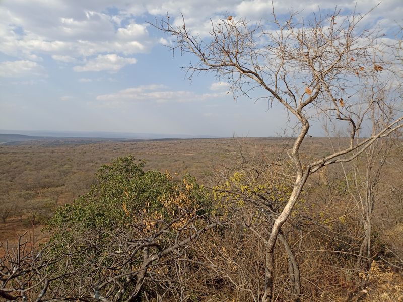 An expansive elevated view of the surrounding natural landscape and bushveld terrain.