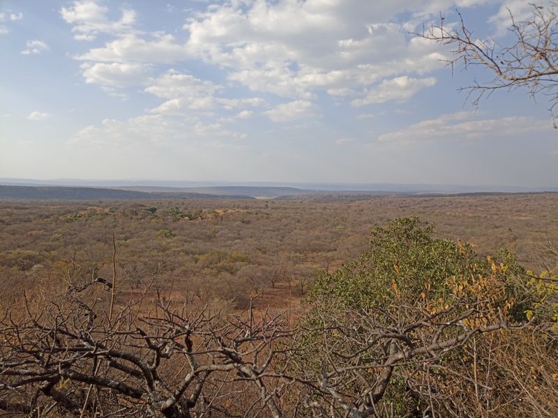 Expansive elevated landscape view overlooking the surrounding natural bushveld and horizon.