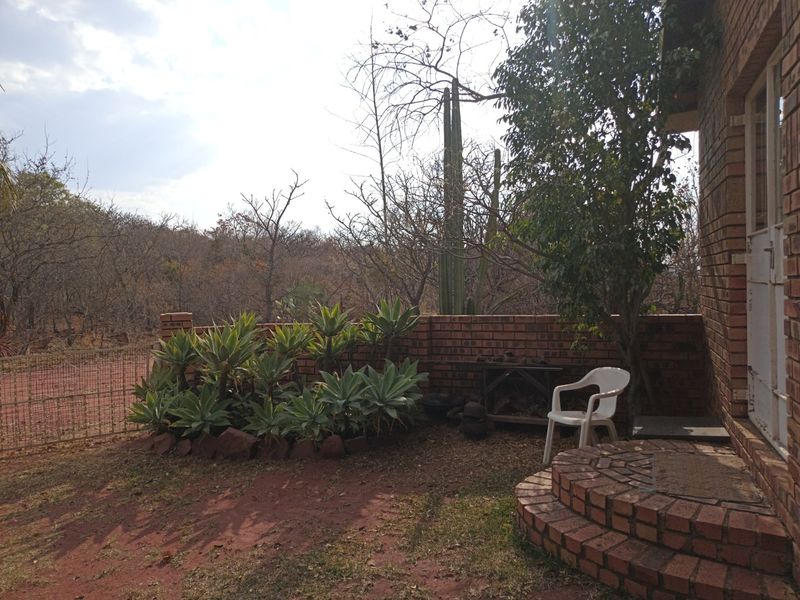 A rustic outdoor area featuring a brick wall, tiered brick steps, and a metal gate, set against a natural bushveld landscape.