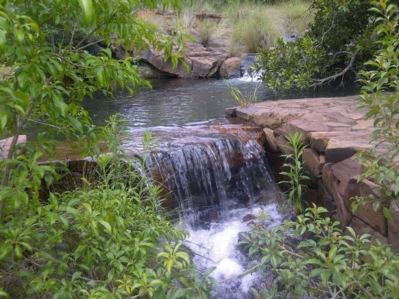 A scenic view of a natural stream featuring a small waterfall and stone retaining wall, set within a lush, landscaped environment.