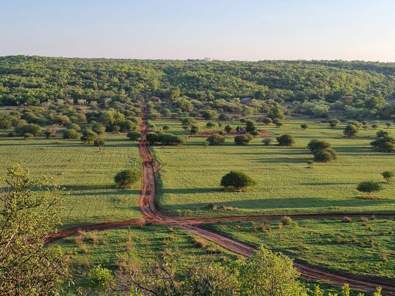 An elevated aerial view of a large, open residential land plot featuring natural vegetation and a dirt access road.