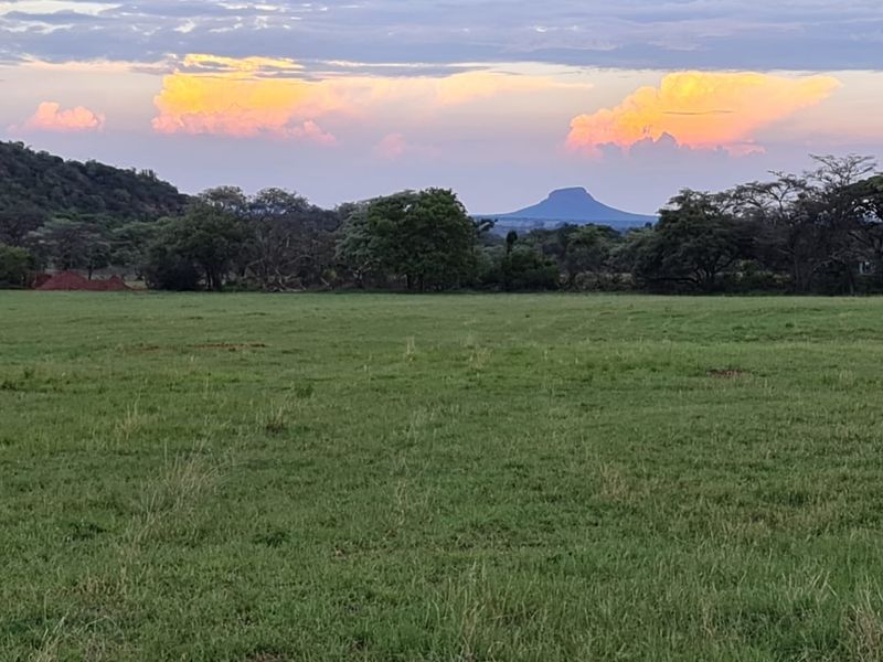 A scenic view of a grassy field with trees and a distant mountain under a sunset sky.
