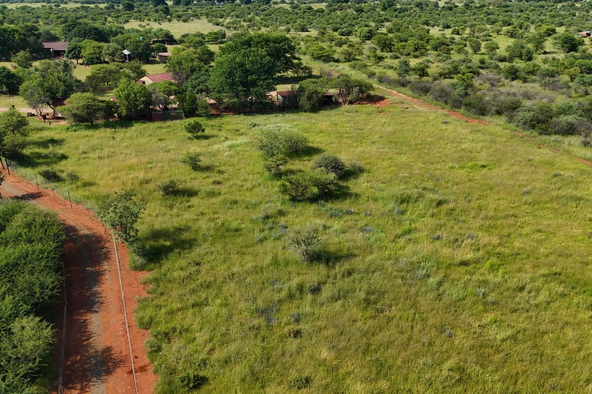 Smallholding For Sale In Bela Bela - Photo 5