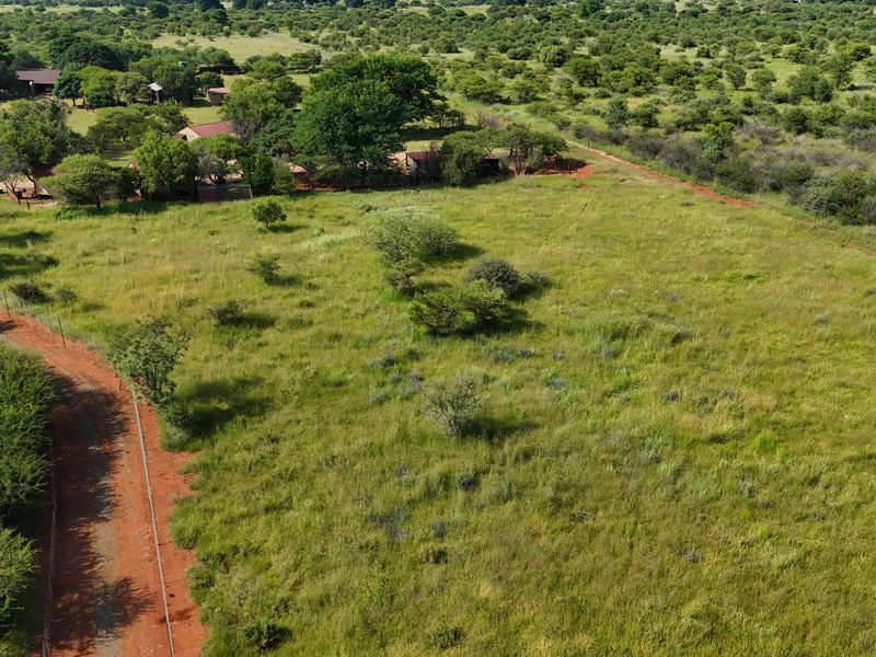 Smallholding For Sale In Bela Bela - Photo 5