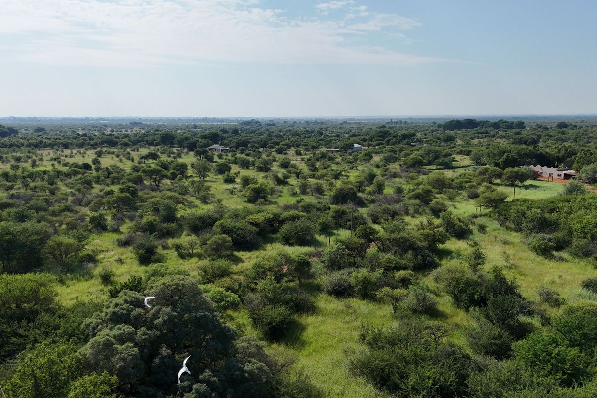 Smallholding For Sale In Bela Bela - Photo 3