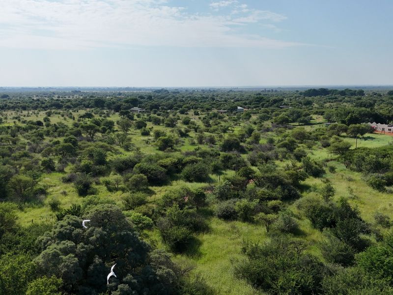 Smallholding For Sale In Bela Bela - Photo 3