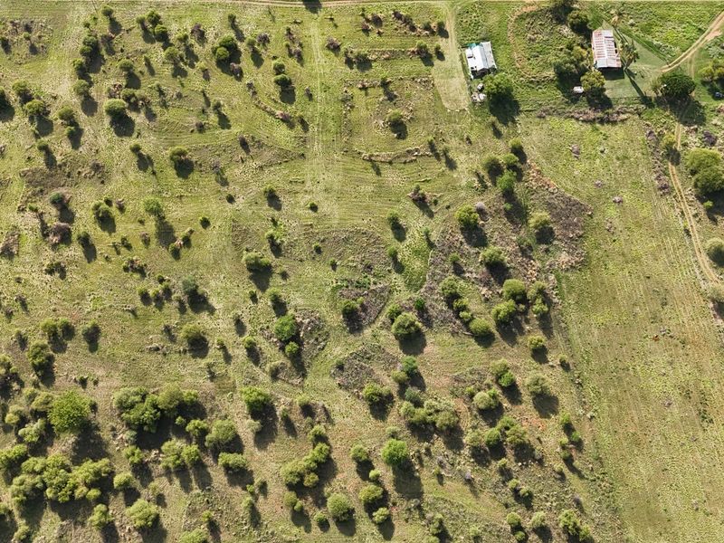 Smallholding For Sale In Bela Bela - Photo 9