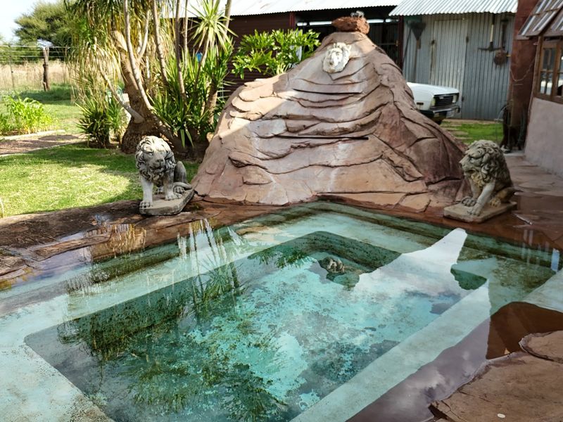 Smallholding For Sale In Bela Bela - Photo 4