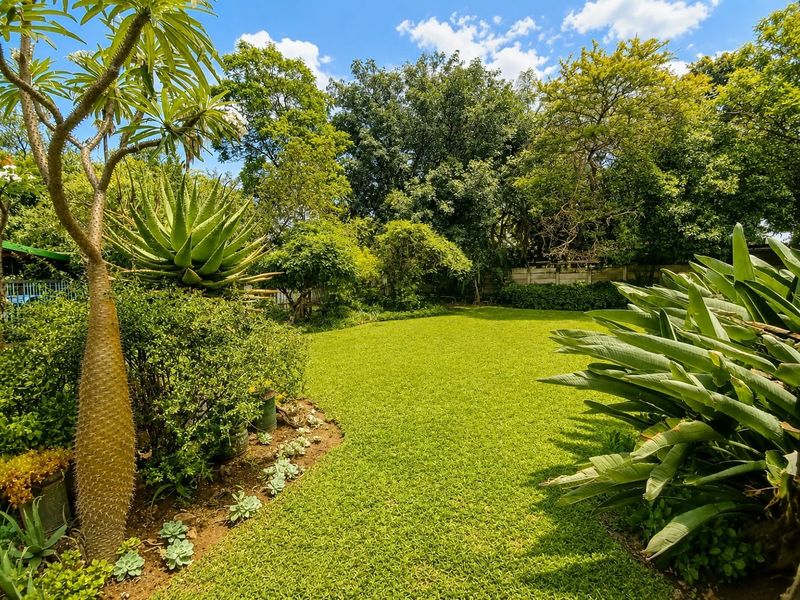 A well-maintained, lush green garden featuring mature trees, established landscaping, and a secure boundary wall, providing a private and serene outdoor space.