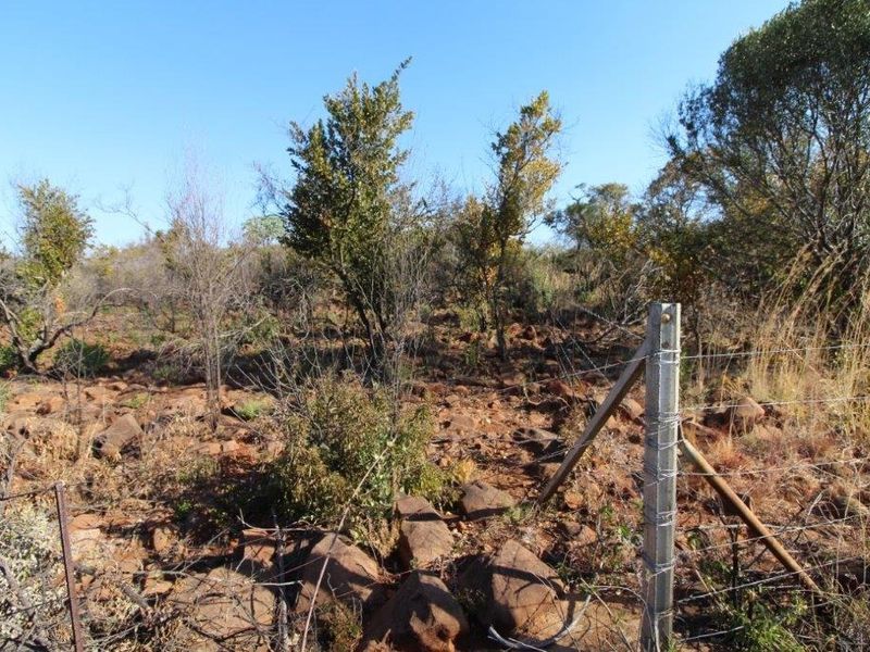 Farm For Sale In Bela Bela - Photo 9