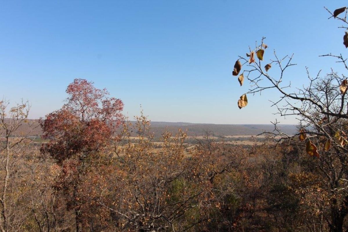 Farm For Sale In Bela Bela - Photo 5