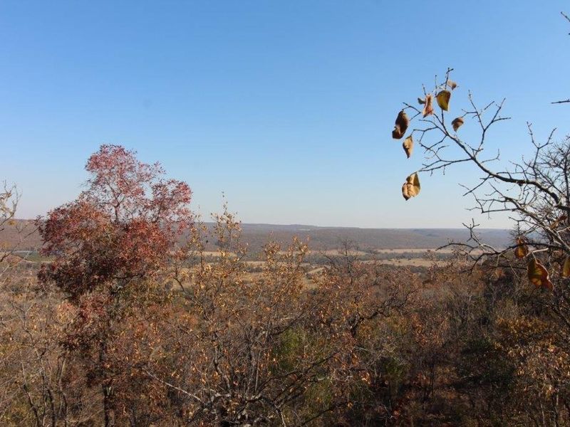 Farm For Sale In Bela Bela - Photo 5