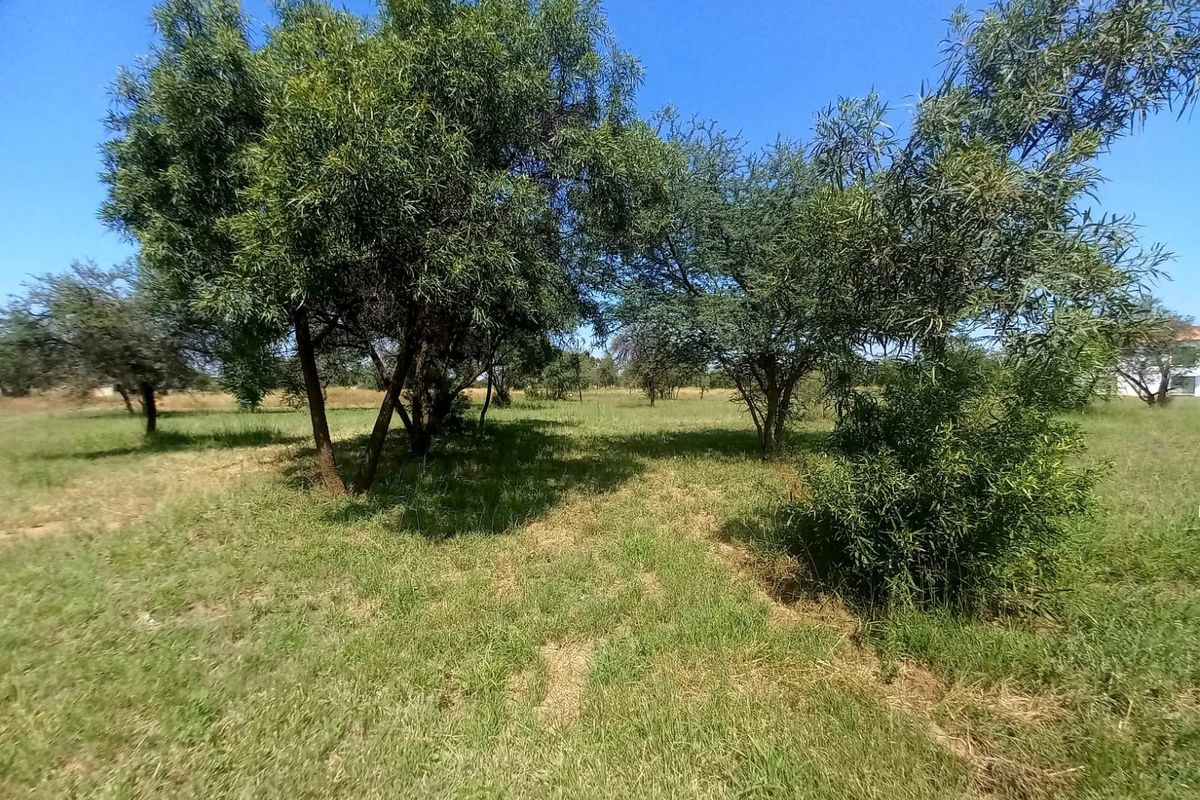 Vacant Land Residential For Sale In Bela Bela - Photo 3