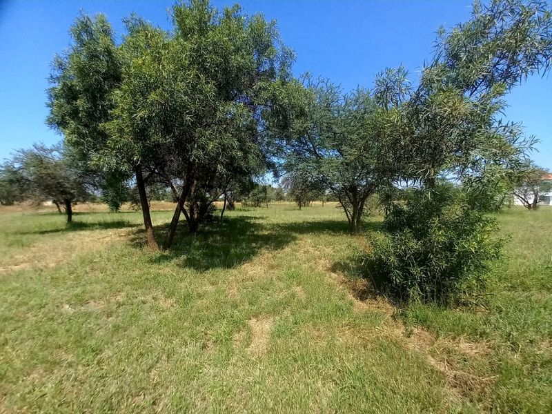 Vacant Land Residential For Sale In Bela Bela - Photo 3