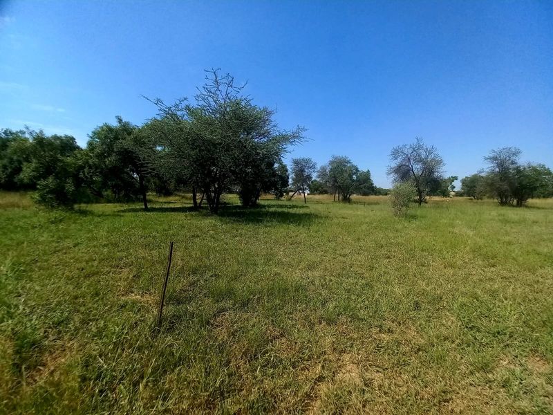 Vacant Land Residential For Sale In Bela Bela - Photo 4