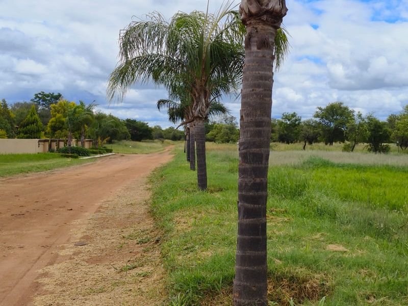 Vacant Land Residential For Sale In Bela Bela - Photo 6