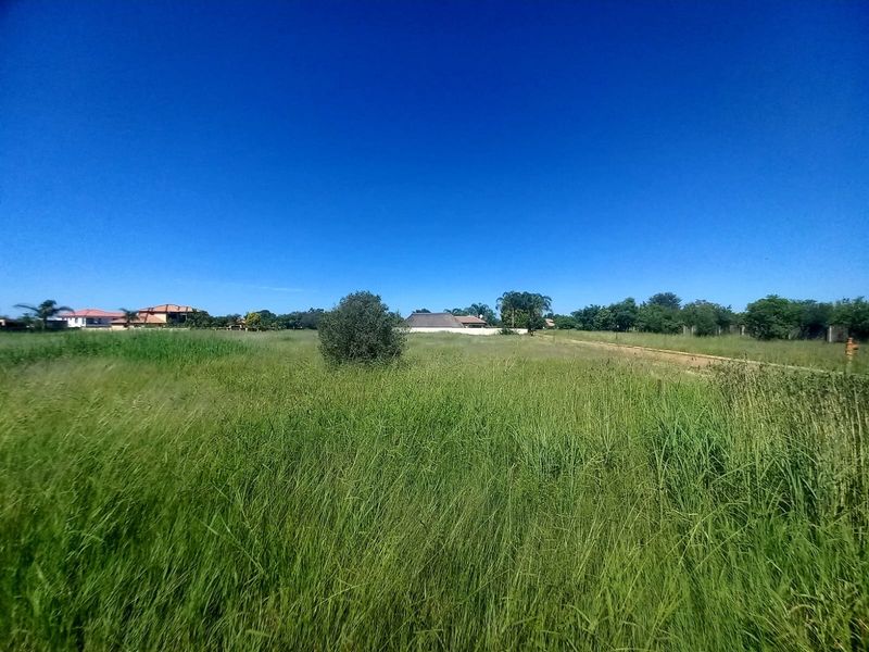 Vacant Land Residential For Sale In Bela Bela - Photo 5