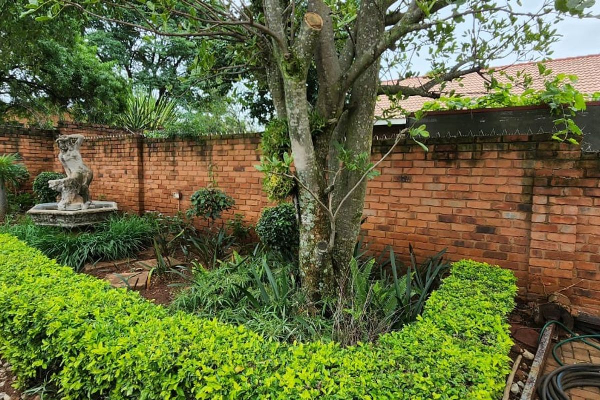 House For Sale In Bela Bela - Photo 4