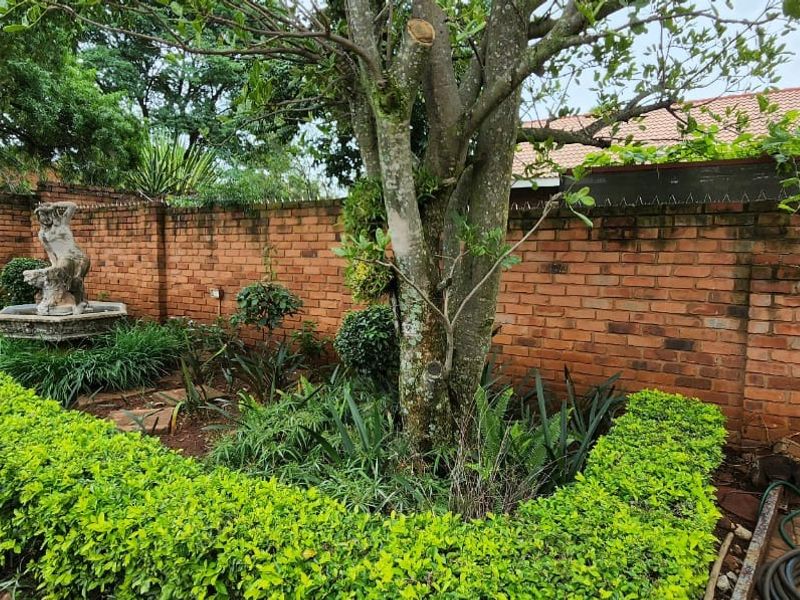 A private garden area featuring a brick boundary wall with security spikes, mature trees, and a paved walkway.