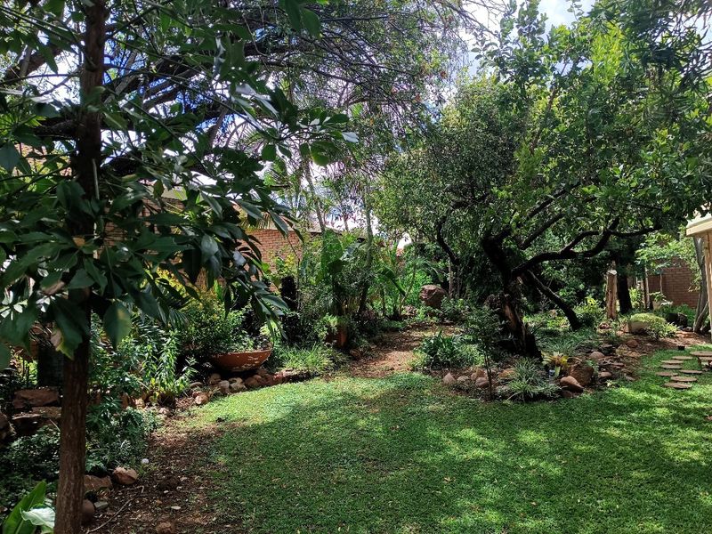 A lush, well-established garden featuring mature trees, a stone pathway, and a brick boundary wall, offering a private and tranquil outdoor space.