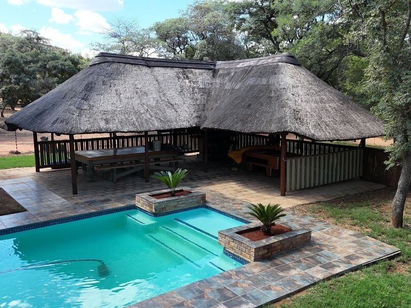 Outdoor entertainment area featuring a swimming pool with tiled surround and a large thatched lapa structure set in a natural garden environment.