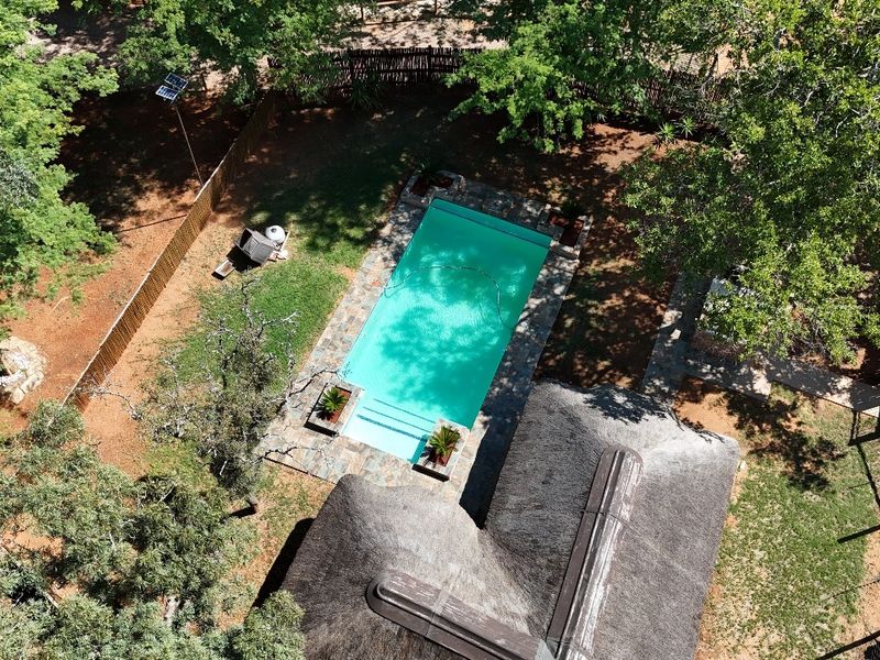 Aerial view of a small holding property featuring a swimming pool with stone surround, a thatched roof structure, and mature garden landscaping.