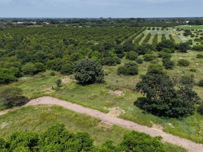 An aerial view of a large residential vacant land plot featuring a gravel driveway, perimeter fencing, and surrounding natural vegetation and orchard landscape.