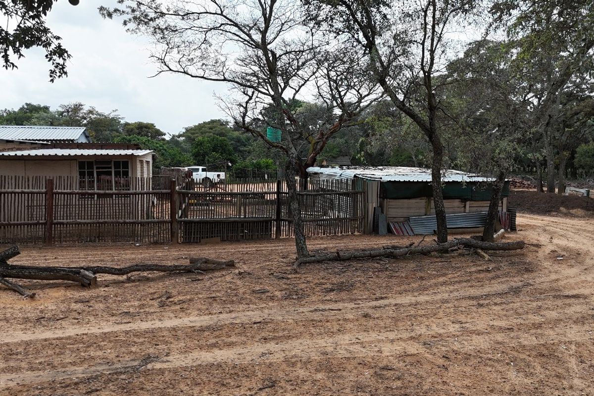 Rear view of the small holding showing basic outbuildings with corrugated metal roofing and timber pole fencing on a natural dirt landscape.