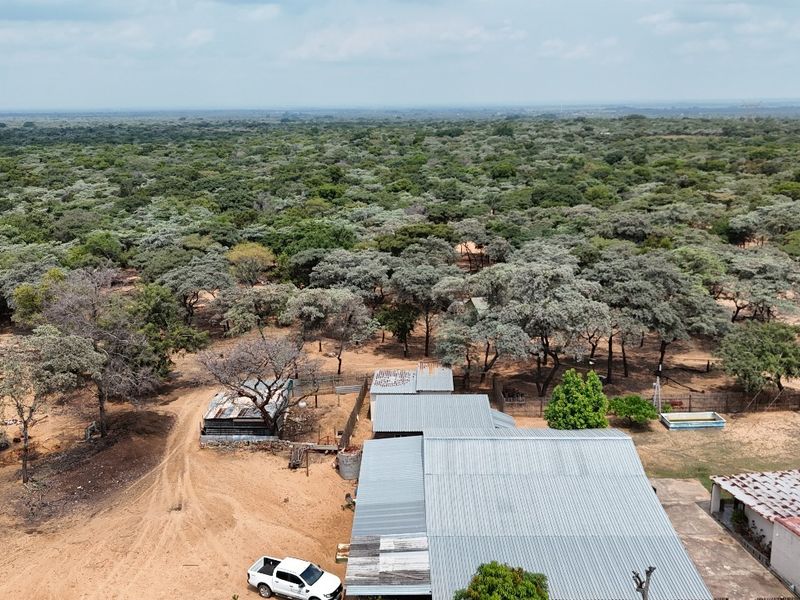Aerial view of a small holding property featuring multiple structures with corrugated metal roofing, surrounded by extensive natural bushveld and rural landscape.