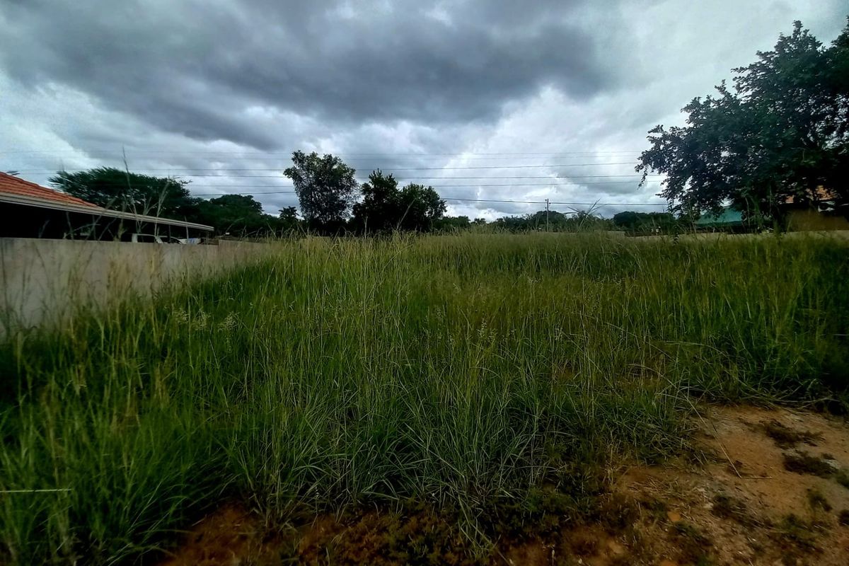 A vacant residential plot featuring overgrown grass and a boundary wall, offering a blank canvas for future development.