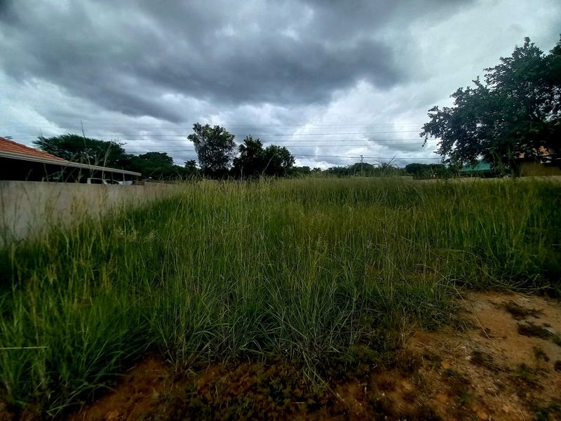 A vacant residential plot featuring overgrown grass and a boundary wall, offering a blank canvas for future development.